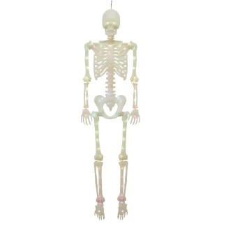 Light-Up LED Poseable Skeleton, Multicolor, 5', Halloween by Way To Celebrate